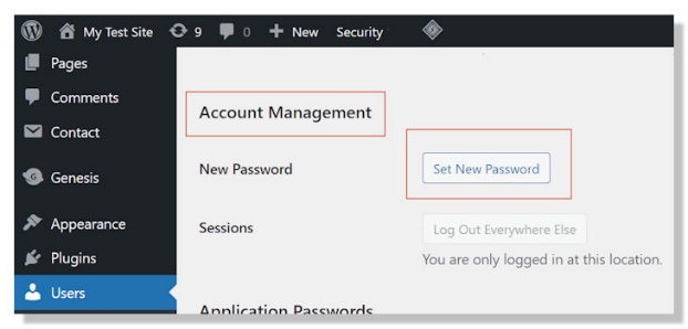 WordPress password reset done easy with the admin access. You can set a new WordPress admin password just like that.